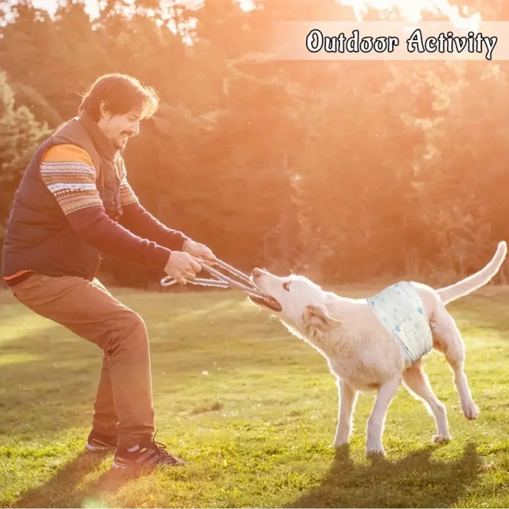 Size Small Female Dog Diapers